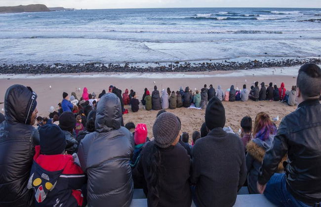Desfile de pingüinos y fauna salvaje de Phillip Island - Tour de un día entero - Foto 5